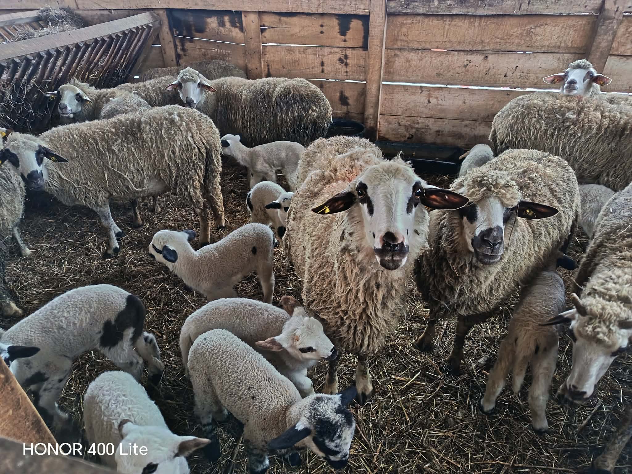 att.XJXDXn4gEdd4Pz5Y2K5PcHz6VLowouh5ju t0M4Iegw